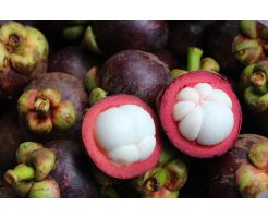 Indonesia Mangosteen 2kg/pkt 