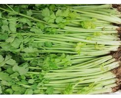 Chinese Celery/500g