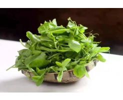 Maple Pea Sprouts/300g
