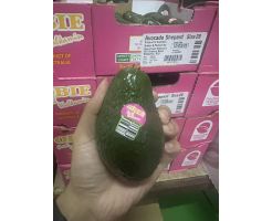AVOCADO 3PCS