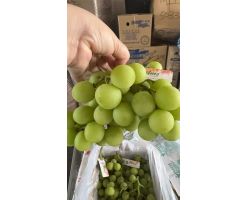 Australia Crisp Green Seedless Grapes 1kg