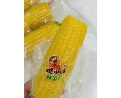 Sha Xiao Pang Fresh Sweet Corn (1.8kg Pack)