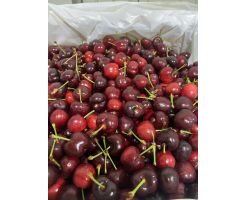 American red cherries 8.5R /1KG