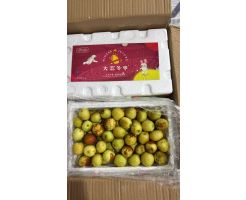 Dali Winter Jujube 1.5kg/Box