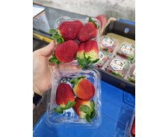 AUST STRAWBERRY 250G/BOX