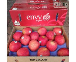 ENVY APPLE 5S