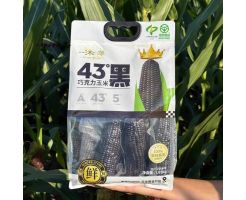 Yimu Yicao Black Glutinous Corn 1.65kg