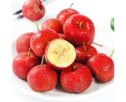 Premium Hawthorn/300g/box