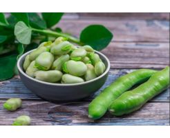 Fresh Broad Beans/kg