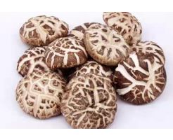 Shiitake Mushrooms/500g