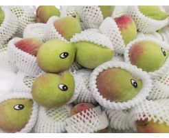chickpea peaches(1kg)
