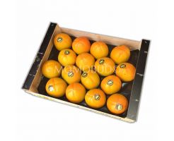 Spain Kaki Persimmon 16-18s/tray