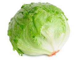 Iceberg Lettuce/pcs (500g+)