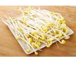 SoyBean Sprout/500g