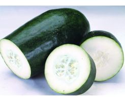 winter melon/0.8-=1kgkg