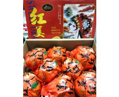 gold Red beauty orange 12pcs/box