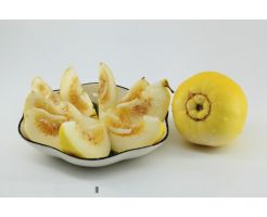 Crystal Sweet Melon 2KG